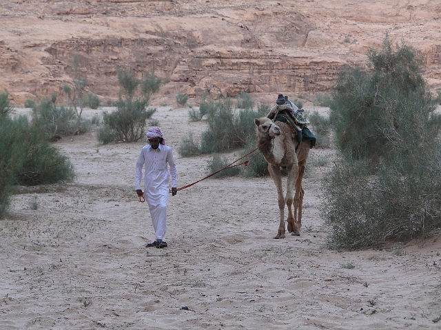Wadi Rum (58).JPG